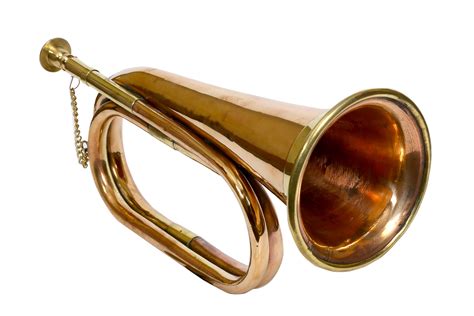 Different types of bugle instruments